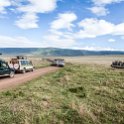 TZA ARU Ngorongoro 2016DEC26 Crater 057 : 2016, 2016 - African Adventures, Africa, Arusha, Crater, Date, December, Eastern, Month, Ngorongoro, Places, Tanzania, Trips, Year